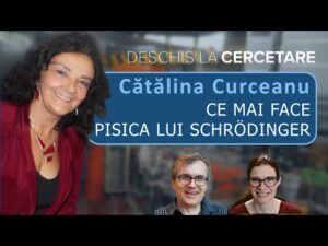 Ce ne spune pisica lui Schrödinger despre fizica cuantică?