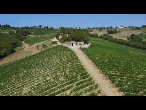 Torraccia di Presura – the territory