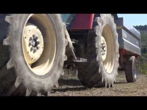 Torraccia di Presura – our work