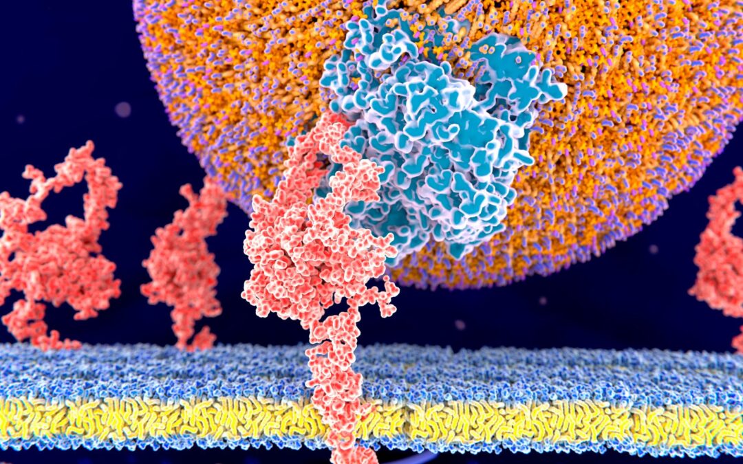 CRISPR therapy for high cholesterol shows promise in early trial