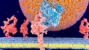 crispr-therapy-for-high-cholesterol-shows-promise-in-early-trial