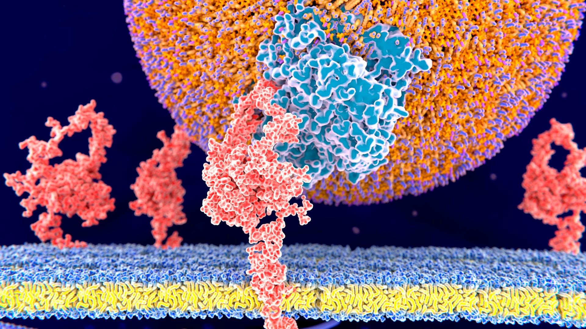 crispr-therapy-for-high-cholesterol-shows-promise-in-early-trial