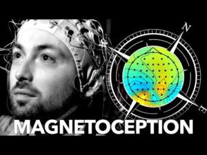 Pot oamenii să simtă câmpurile magnetice?
