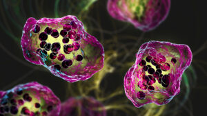 measles-deaths-jumped-over-40%-from-2021-to-2022,-cdc-reports
