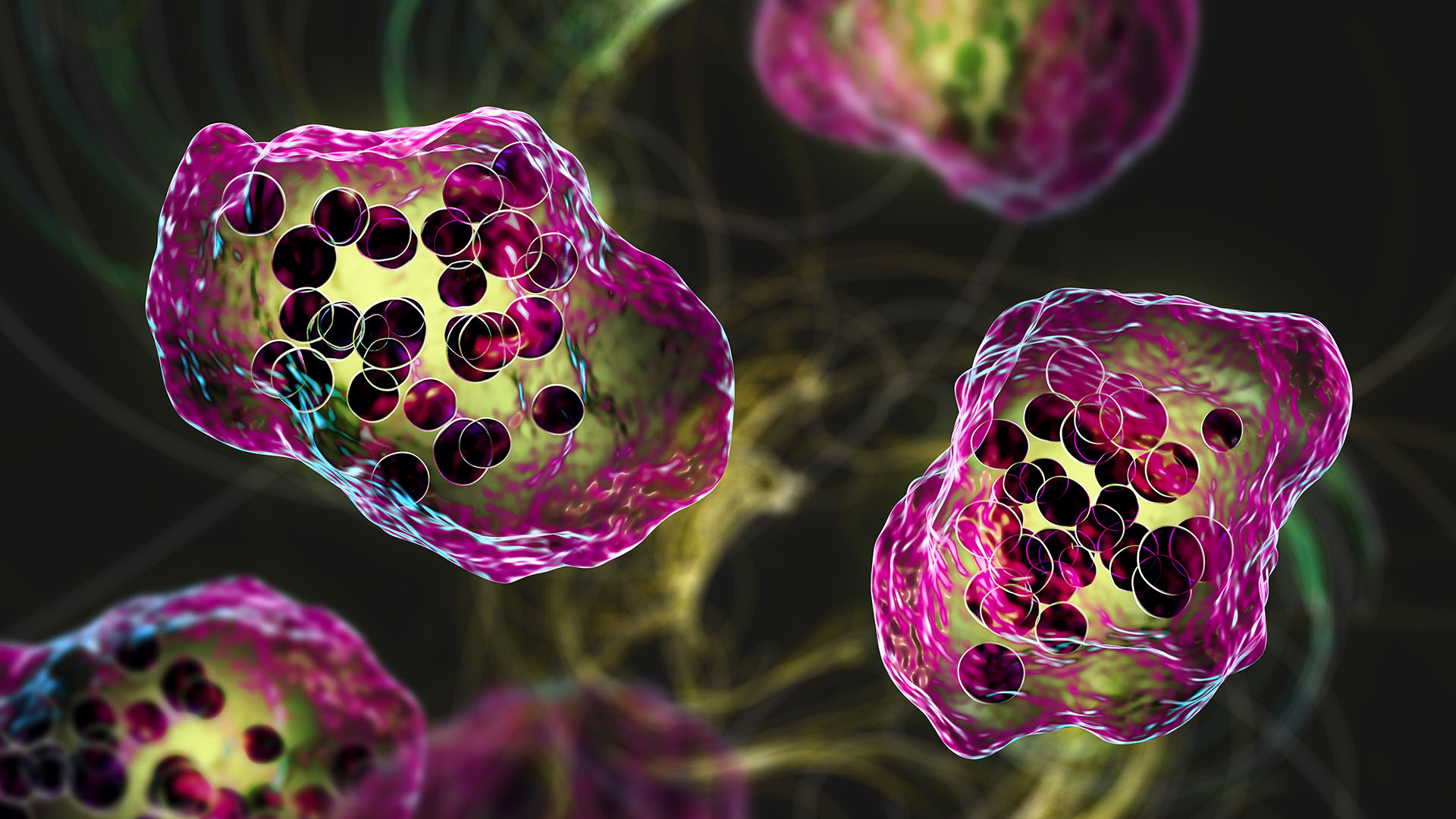 measles-deaths-jumped-over-40%-from-2021-to-2022,-cdc-reports