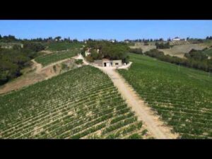 Az. Agr. Torraccia di Presura – Greve in Chianti