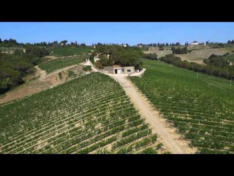 Az. Agr. Torraccia di Presura – Greve in Chianti