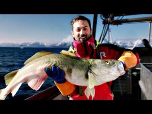Cum i-a salvat Cod pe vikingi