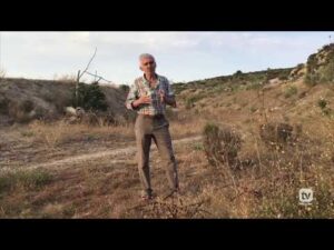 PRESURA TV Programa #8 Tempus Fugit