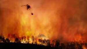 expertii-sunt-siguri-ca-2023-va-fi-„cel-mai-cald-an-din-istoria-inregistrata”