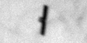 daily-telescope:-o-camera-spatiala-spioneaza-un-satelit-secret-project-kuiper