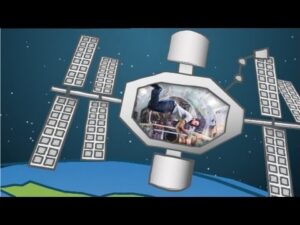 De ce sunt astronauții fără greutate?