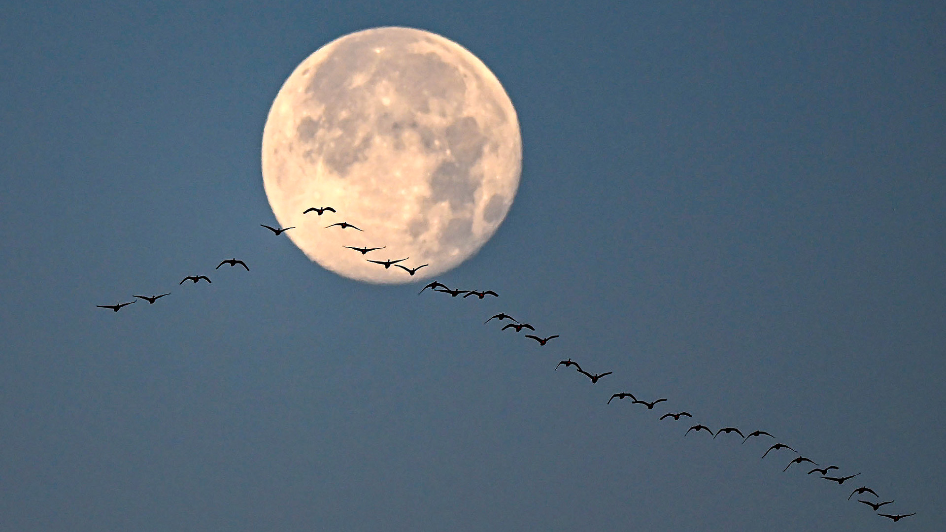 luna-rece-2023:-ultima-luna-plina-a-anului-rasare-in-acest-craciun