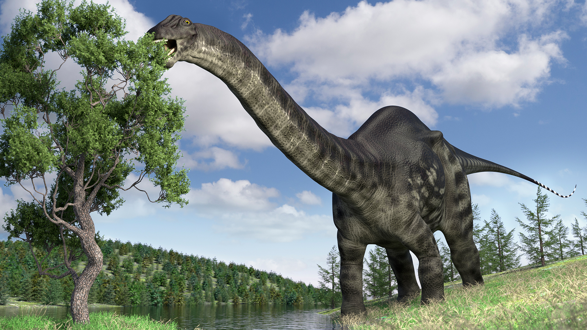 de-ce-numele-„brontosaurus”-a-fost-readus-din-morti?