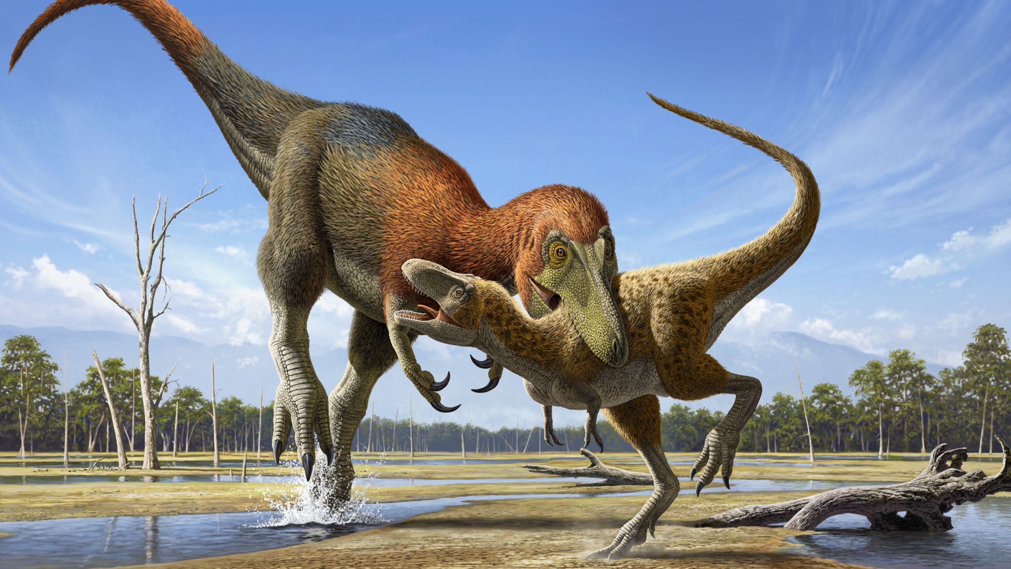 saga-nanotyrannus-vs-t.-rex-continua:-studiul-controversat-„nu-rezolva-deloc-problema”
