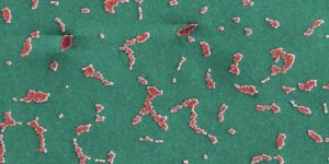 antibioticul-experimental-ucide-superbacteria-letale,-deschide-o-noua-clasa-de-medicamente