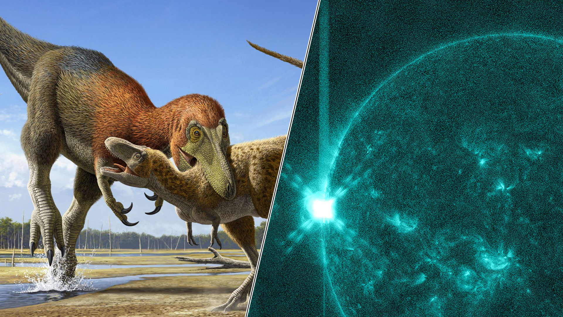 5-povesti-care-fac-stiri-stiintifice-saptamana-aceasta:-o-saga-t.-rex-si-o-eruptie-solara-masiva