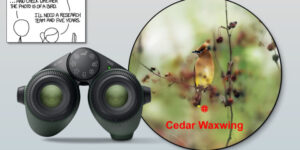 celebrul-benzi-desenat-xkcd-vine-in-plin-cu-binoclul-ai-care-identifica-pasarile