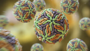 virusul-zika-ar-putea-trata-cancerul,-sugereaza-un-alt-studiu-timpuriu