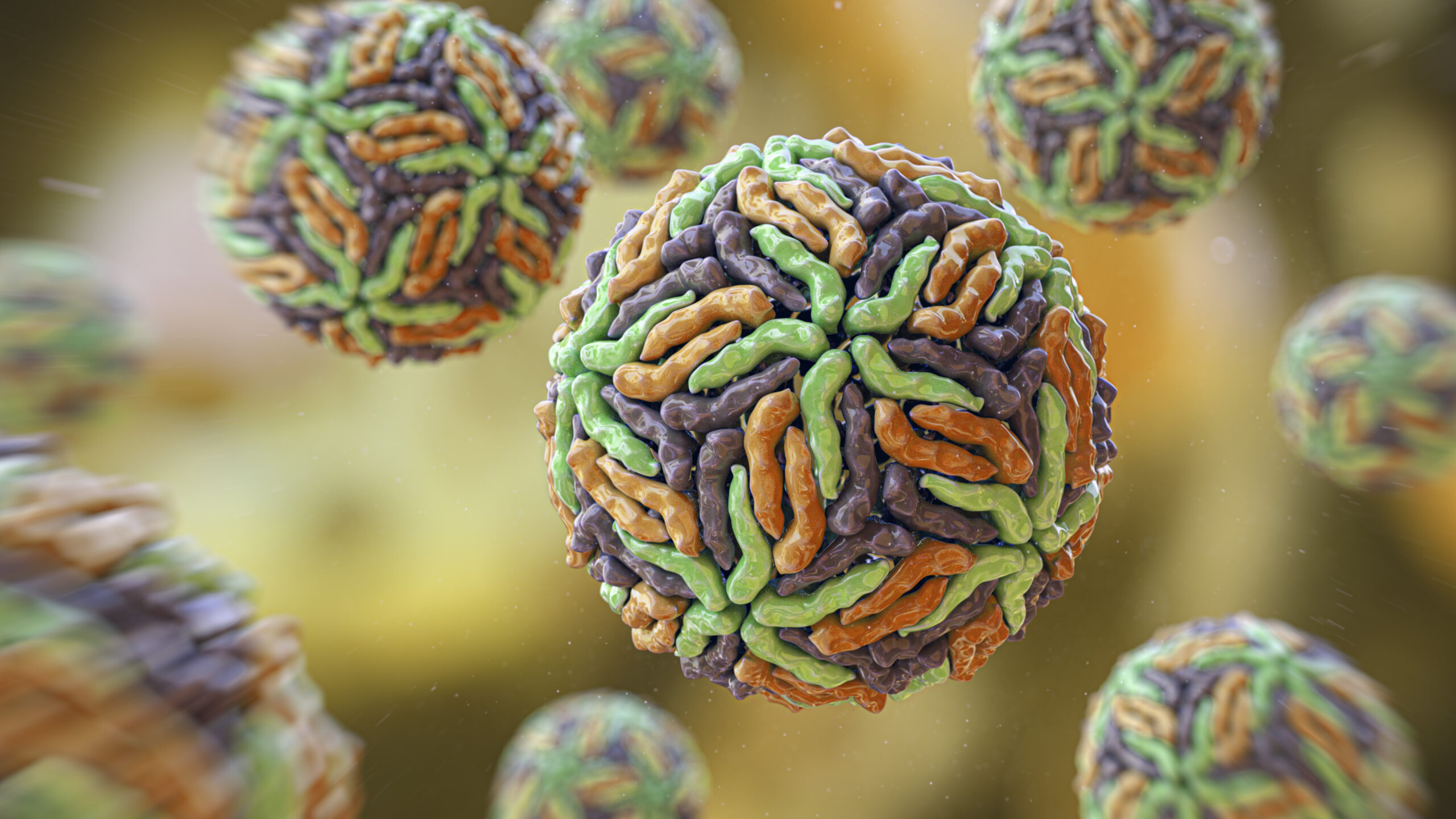 virusul-zika-ar-putea-trata-cancerul,-sugereaza-un-alt-studiu-timpuriu