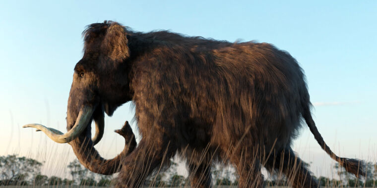 Un nou studiu urmărește călătoriile unui mamut prin Alaska