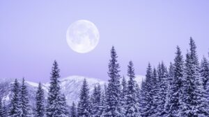 „luna-lupului”-plina-din-ianuarie-se-ridica-joi-iata-cum-sa-l-vezi-la-cel-mai-bun-mod.