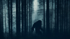 picior-mare?-sasquatch?-nu,-probabil-ca-este-doar-un-urs-negru,-daca-nu-locuiesti-in-florida