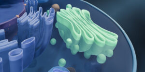 cei-mai-vechi-stramosi-microbieni-ai-nostri-au-fost-cu-mult-inaintea-timpului-lor