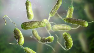 infectii-severe-„care-mananca-carne”-legate-de-valurile-de-caldura-din-estul-sua,-raporteaza-cdc