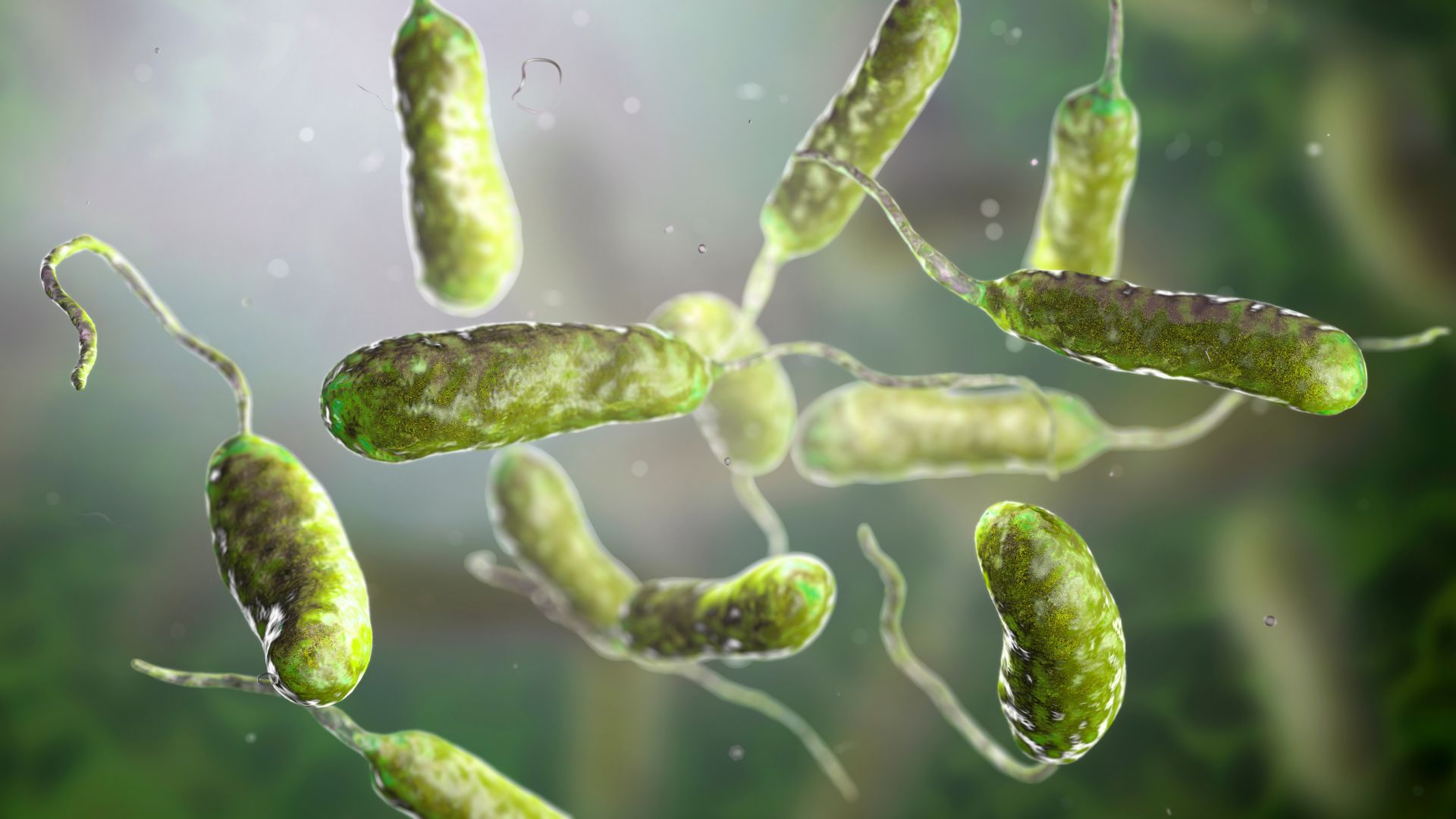 infectii-severe-„care-mananca-carne”-legate-de-valurile-de-caldura-din-estul-sua,-raporteaza-cdc