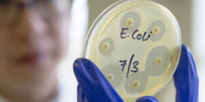 noua-tulpina-de-e.-coli-va-accelera-evolutia-genelor-la-alegere