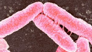 „superbugs”-pot-persista-in-organism-ani-de-zile,-raspandind-potential-rezistenta-la-antibiotice