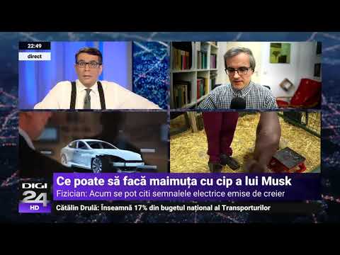 Cristian Presură, despre ce poate să facă maimuța cu cip a lui Musk – Digi24