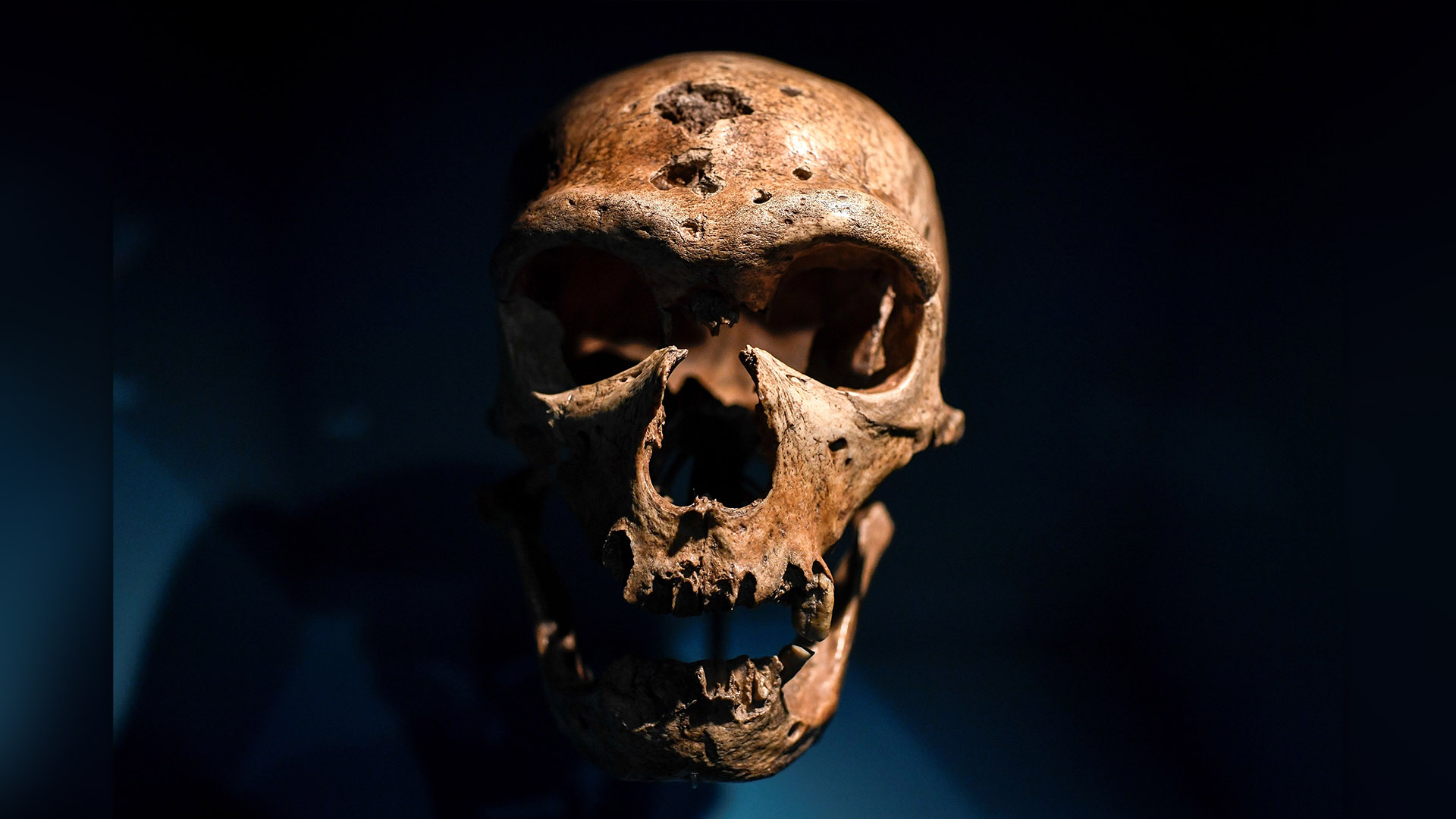 „ne-bantuie-toata-imaginatia”:-neanderthalienii-ne-au-fost-cu-adevarat-ca-noi?