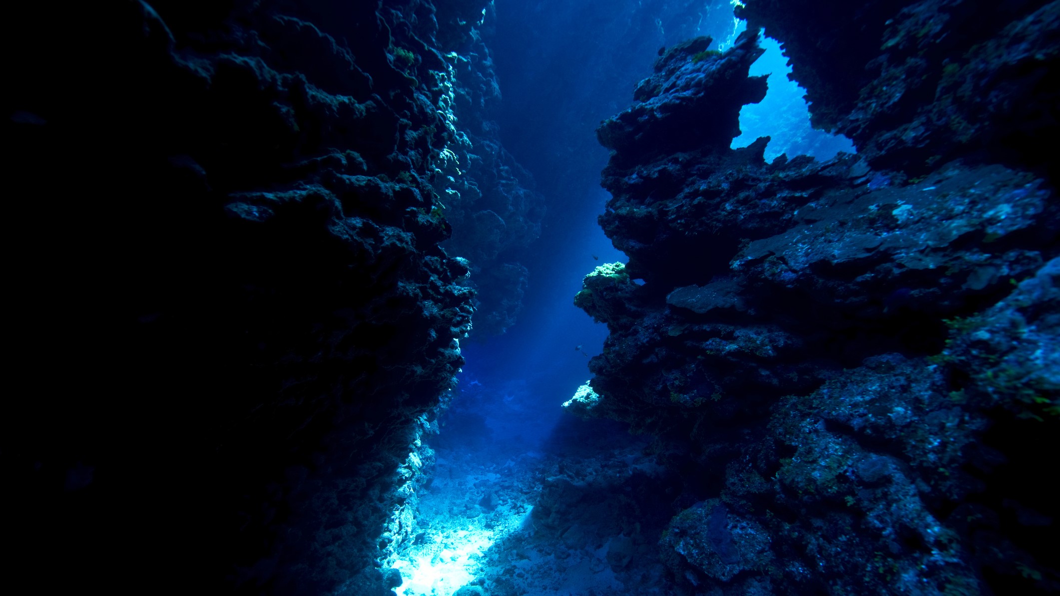 canion-subacvatic-colosal-descoperit-in-apropierea-muntelui-submarin-adanc-in-marea-mediterana