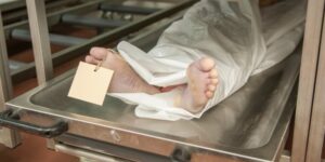 oamenii-de-stiinta-identifica-„reteaua-universala”-de-microbi-pentru-descompunerea-carnii