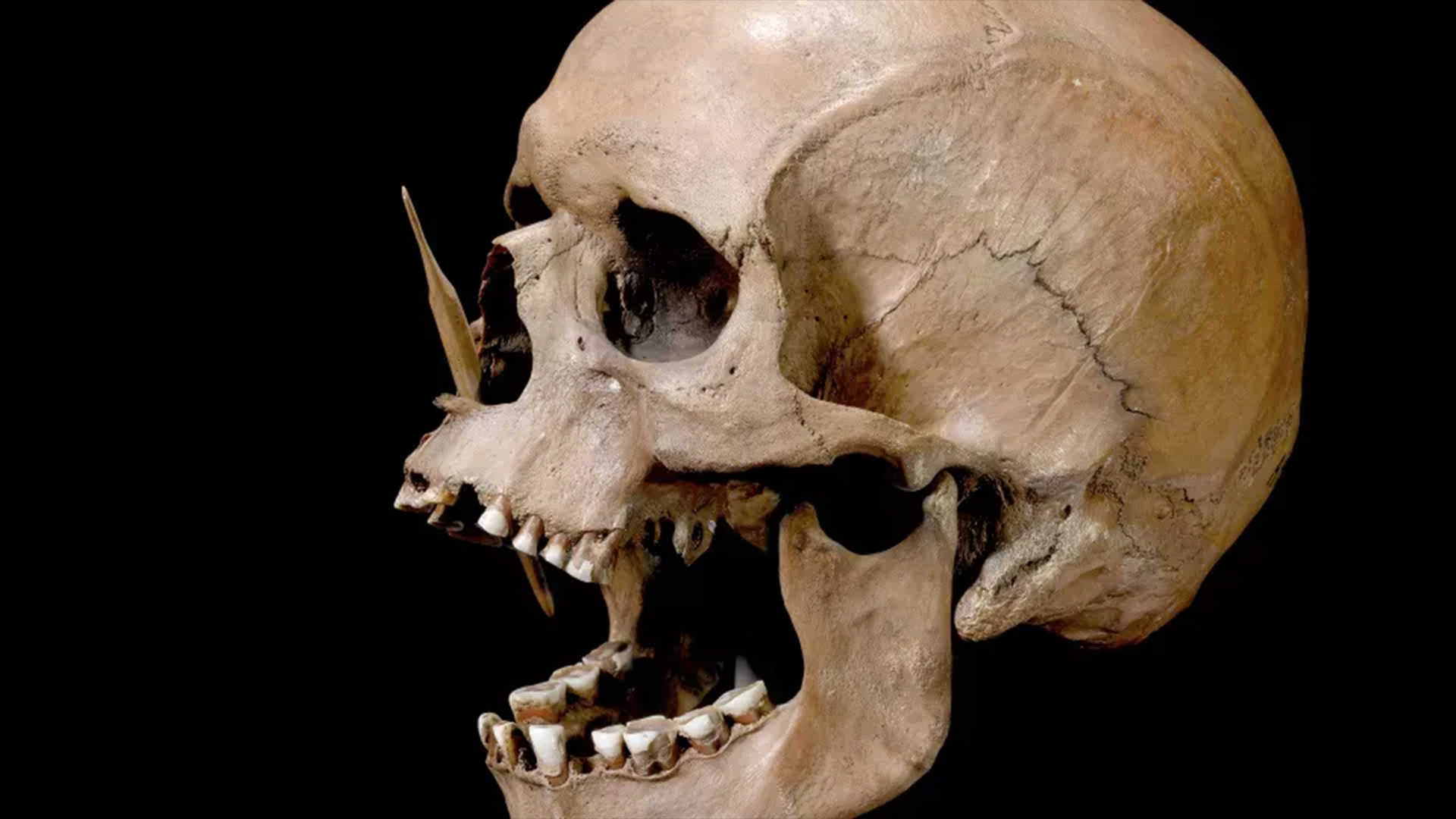 doua-valuri-de-crime-in-masa-au-lovit-danemarca-preistorica,-arata-un-studiu-genetic