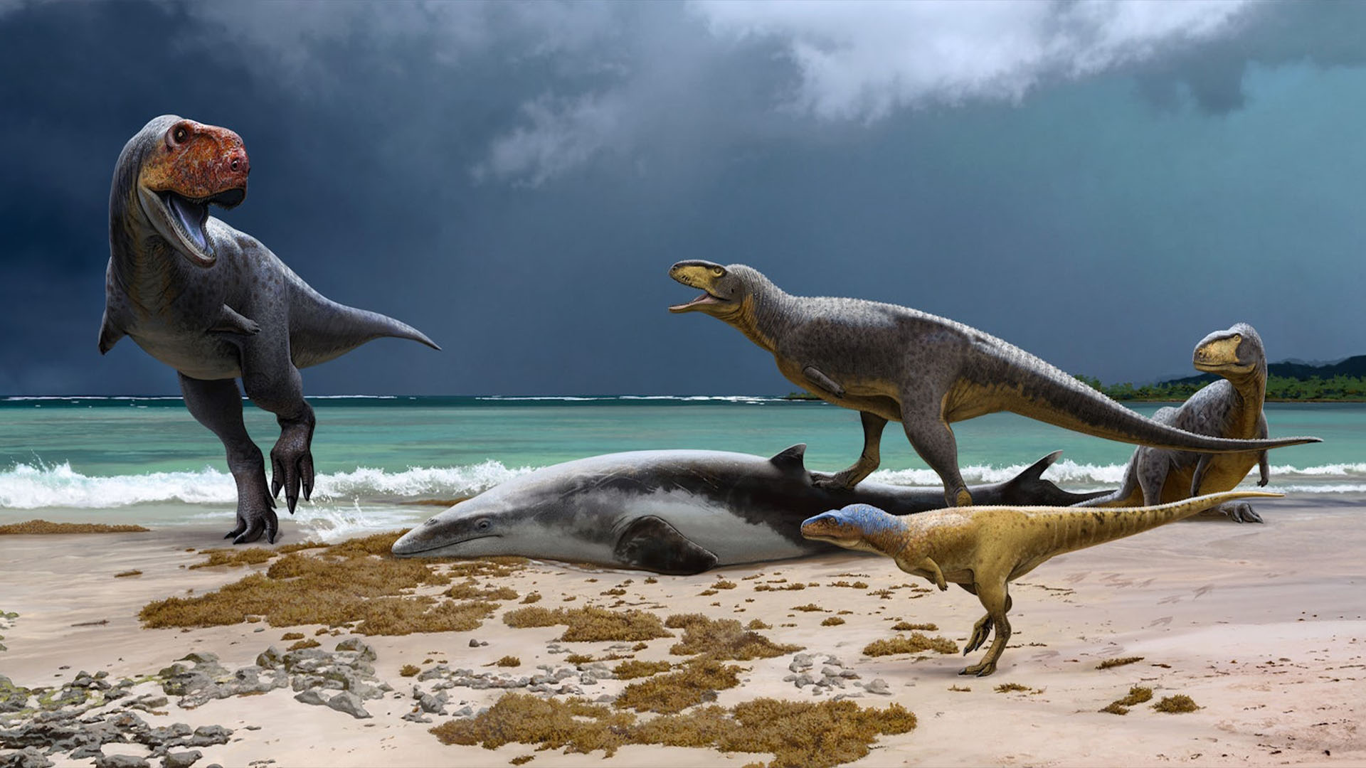 „taiati-in-floare”:-dinozaurii-au-prosperat-in-africa-inainte-de-a-lovi-asteroidul