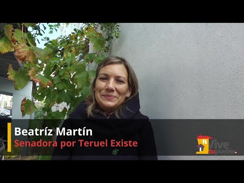 Beatriz Martín. Senadora de Teruel Existe en PRESURA 21