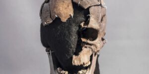„omul-vittrup”,-lovit-cu-brutalitate,-a-devenit-fermier-inainte-de-moarte