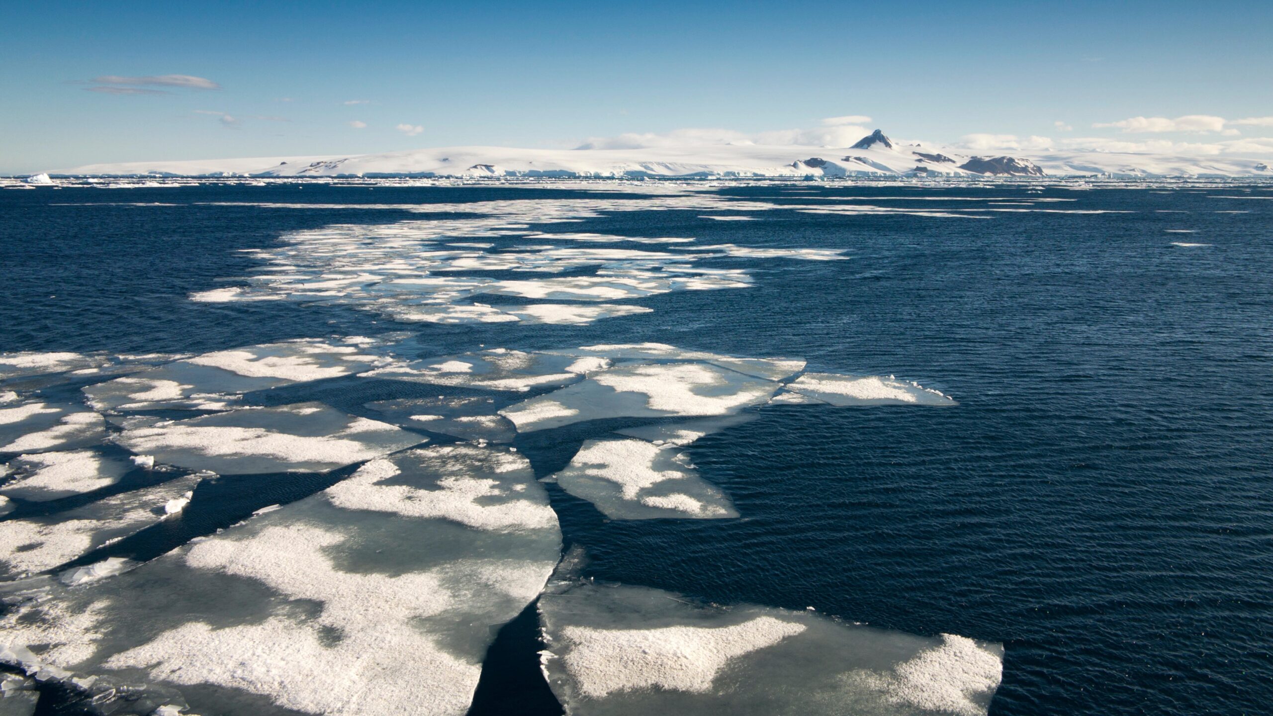 „2023-tocmai-a-aruncat-totul-din-top”:-gheata-din-antarctica-atinge-un-nivel-scazut-ingrijorator-pentru-al-treilea-an-consecutiv