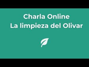 Olivar, ecosistemas, limpieza de basuraleza y recuperación