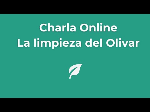 Olivar, ecosistemas, limpieza de basuraleza y recuperación