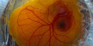 fotograful-lui-natgeo-intoarce-obiectivul-pentru-a-se-concentra-asupra-povestitorilor-vizuali