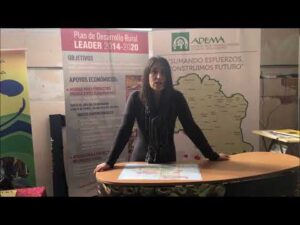 Adema en Presura