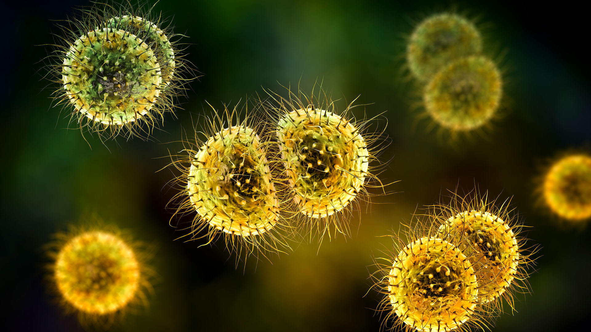 meningita-rare-si-infectiile-sanguine-sunt-in-crestere-in-sua,-avertizeaza-cdc
