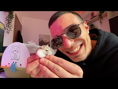 il mio nuovo animale domestico