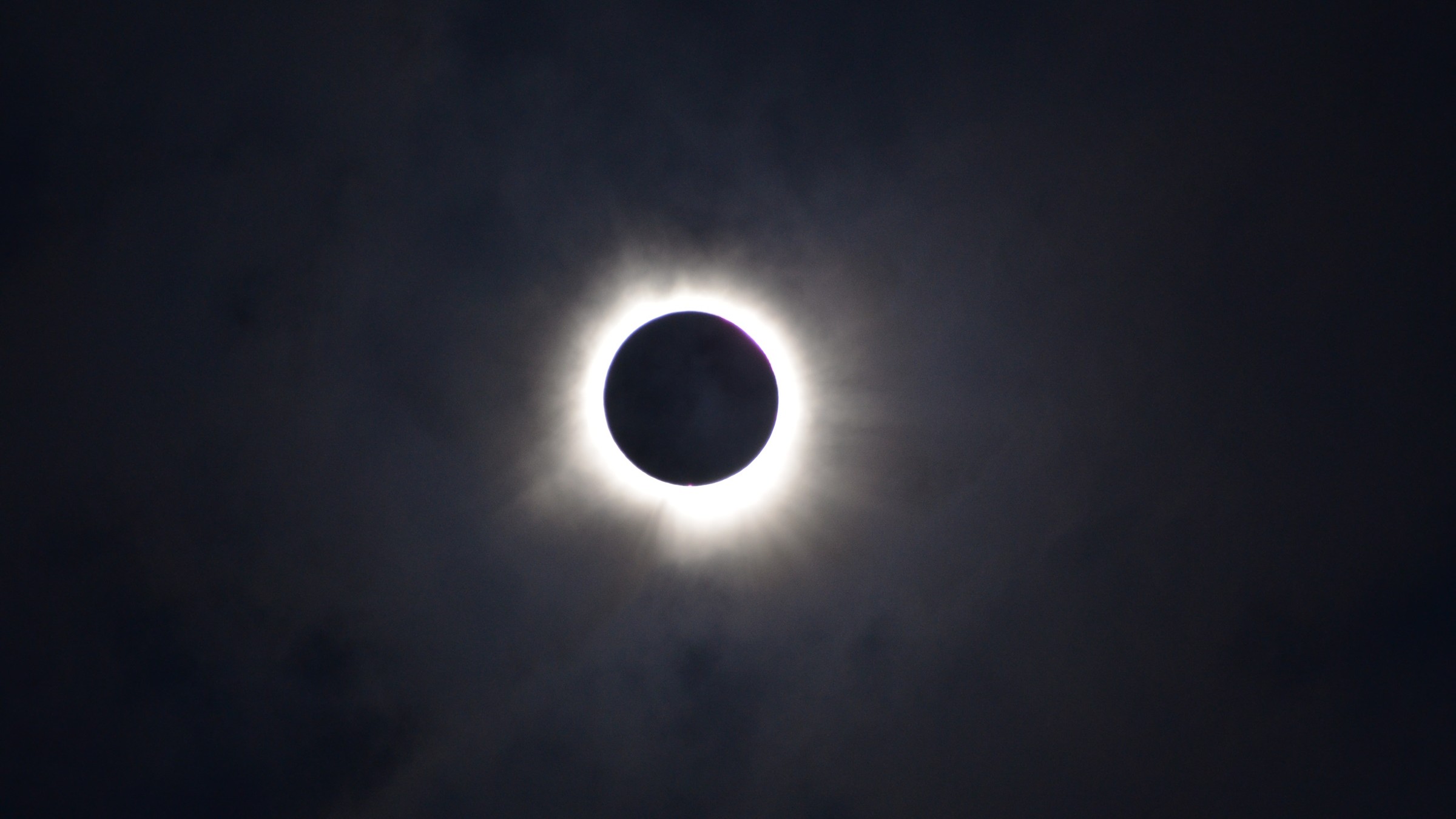 de-ce-am-urmarit-eclipsa-de-soare-cu-copiii-mei,-o-gasca-si-2.000-de-copaci