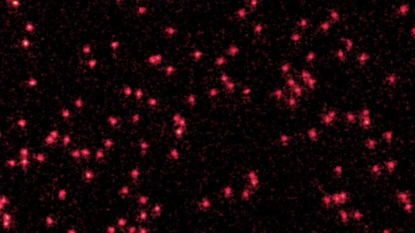 o-imagine-uimitoare-arata-atomii-transformandu-se-in-unde-cuantice-–-asa-cum-a-prezis-schrodinger