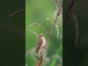 28 апреля 2024 г.